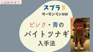 スプラ3 フェスt イカニンジャに変える方法 しゅみふる