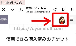 ニンテンドーミュージアム　Miiに設定する