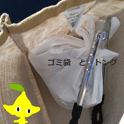 ピクミンブルーム ゴミ拾い 効果