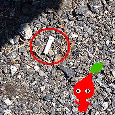 ピクミンブルーム pikuminbroom ゴミ拾い 効果